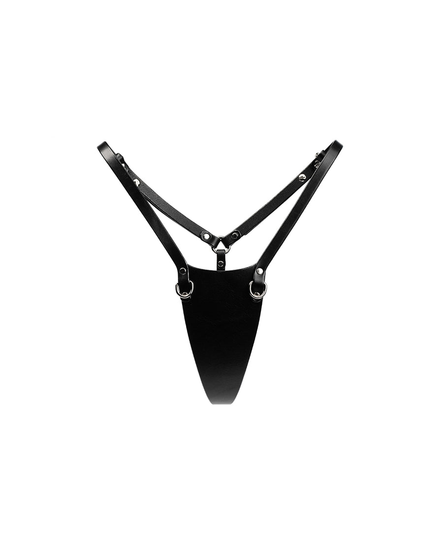 Fantasy Panties ''Black in Power''